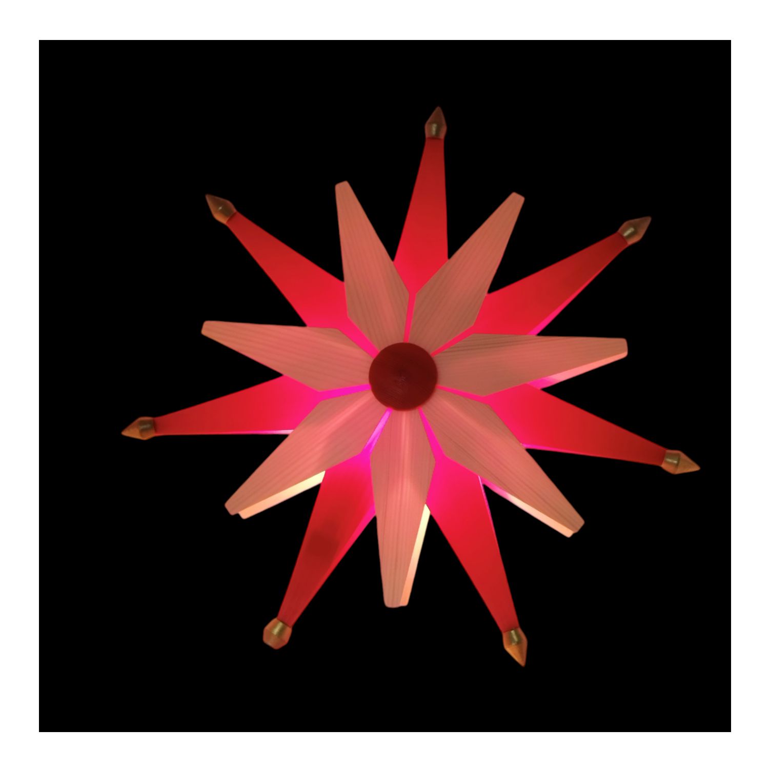 Weihnachtstern elektrisch, natur-rot – Bild 3