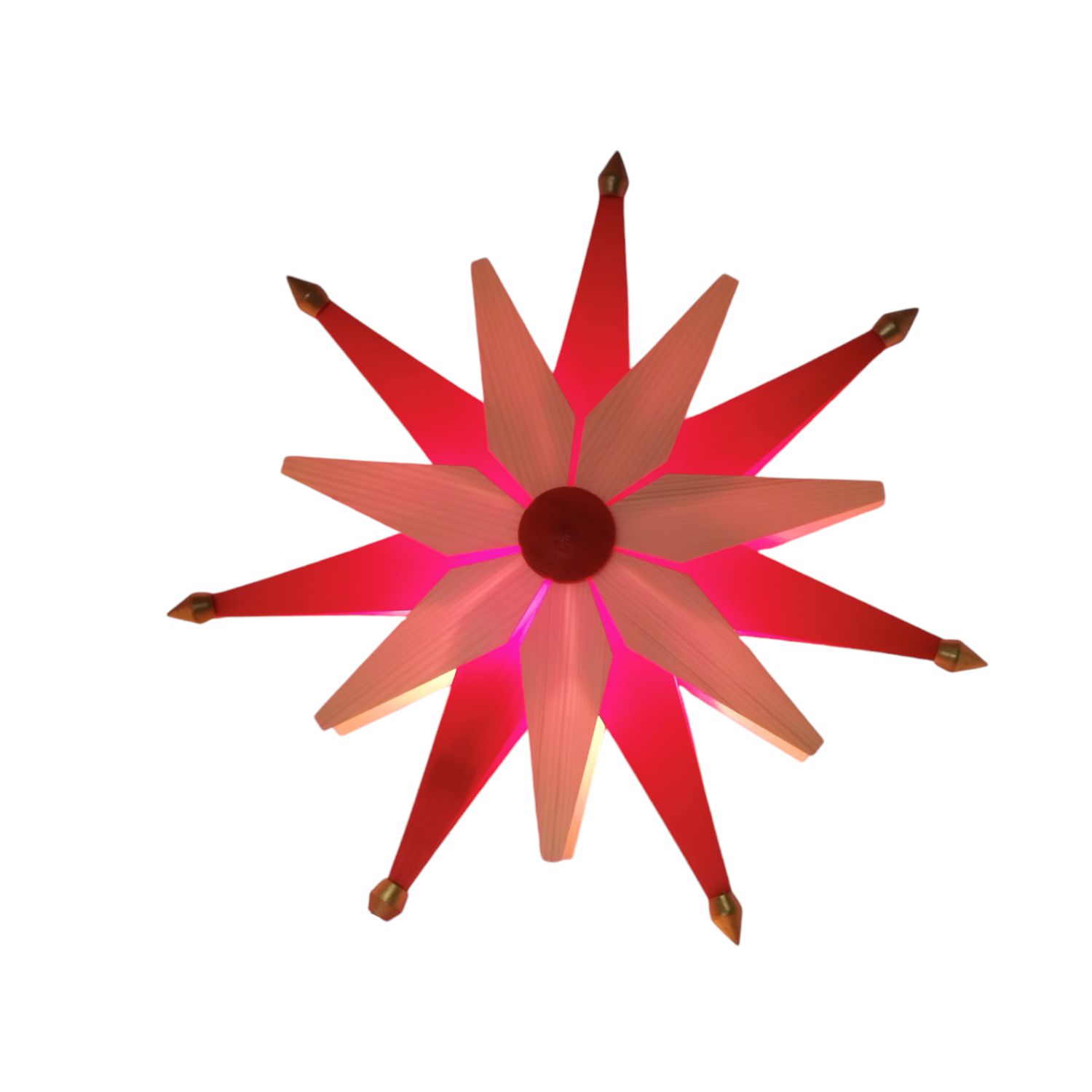 Weihnachtstern elektrisch, natur-rot – Bild 2