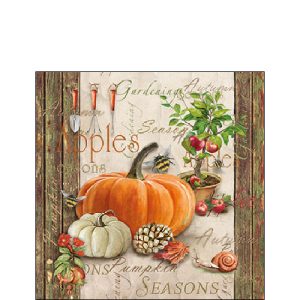 Cocktailservietten mit Kürbissen – Napkin 25 Autumn gardening FSC Mix