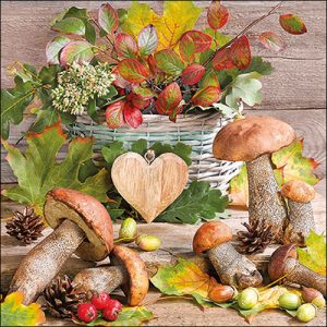 Lunchservietten Pilzliebe – Napkin 33 Wooden heart FSC Mix