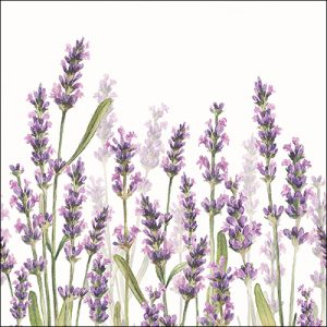 Lunchservietten Lavendel – Napkin 33 Lavender shades white FSC Mix