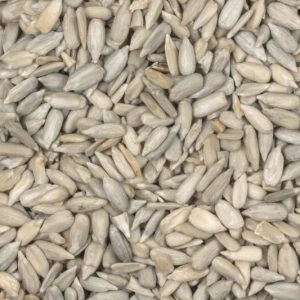 Sonnenblumenkerne Confectionary bio Europa