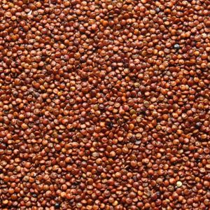 Quinoa rot bio