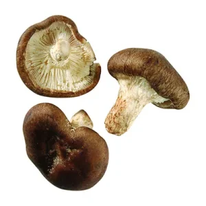 Shiitake-Pilze, aus Polen, 400 g Korb