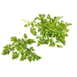 Kerbel, aus Deutschland, 40 g Packung