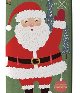 Veganer Schoko-Lolly Nikolaus