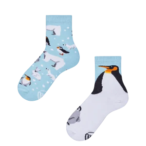 Many Mornings Frosty Friends, 23-26