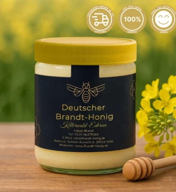 Brandt Honig | Rapshonig – Cremig, Streichzart und Mild Verpackungsgröße: 500g Glas