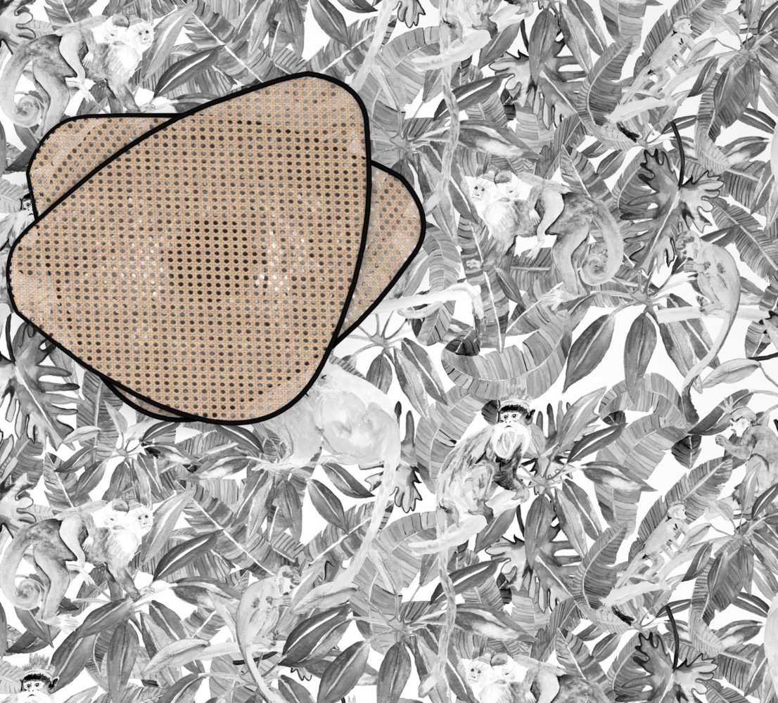 Tapete Tribu, Affen Black & White – Bild 3