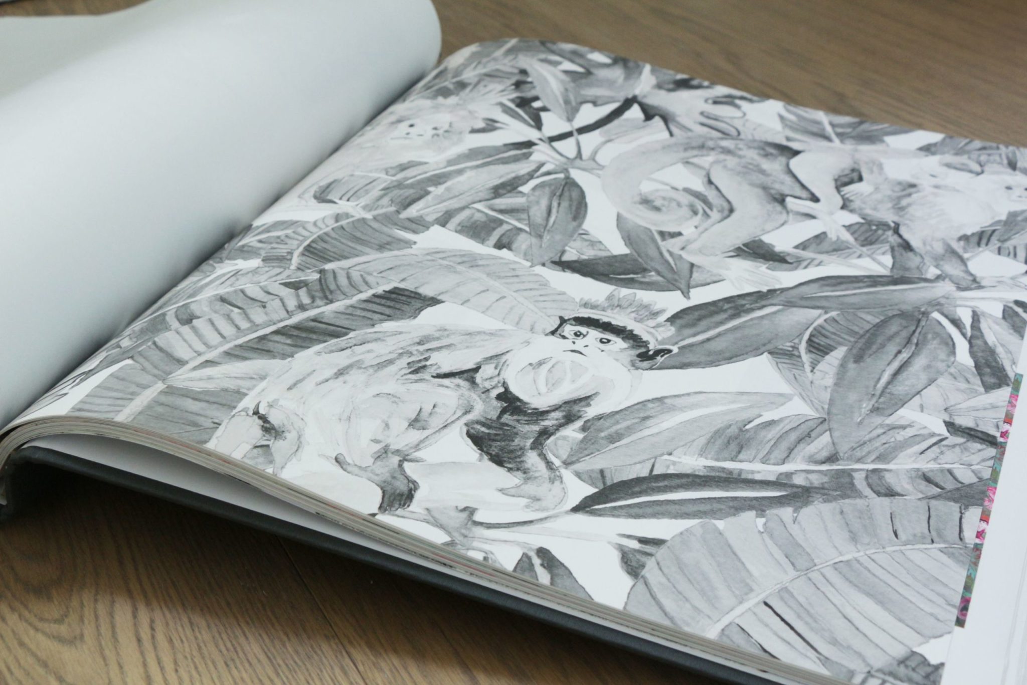 Tapete Tribu, Affen Black & White – Bild 5