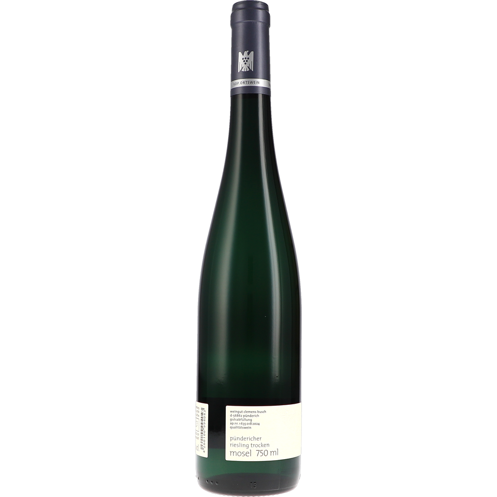 Riesling „vom blauen Schiefer“ 2023 – Bild 3