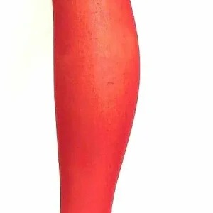 Fibrotex Strumpfhose 20 Himbeere, 36-38