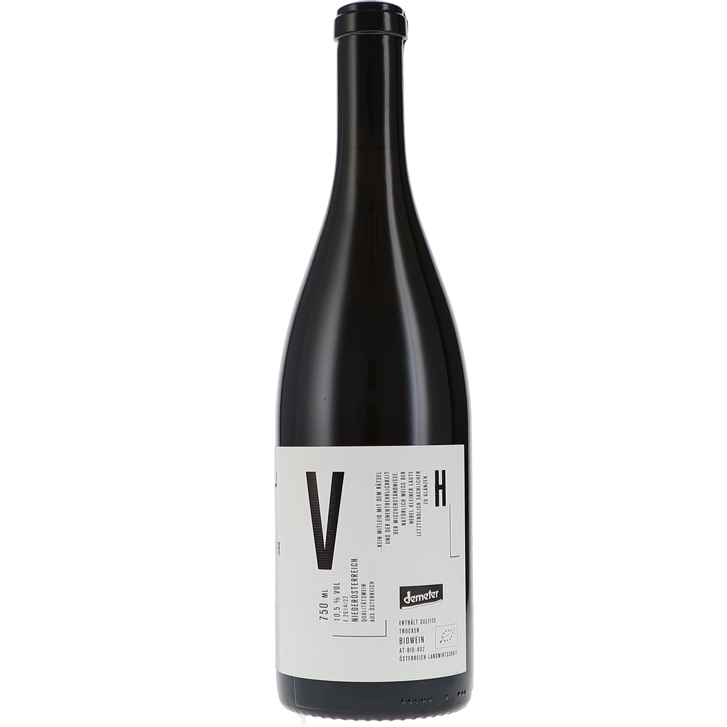 Grüner Veltliner Riede Steiner Schreck „Dritter Akt“ unfiltriert 2020 – Bild 2